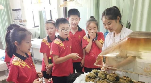 k8凯发天生赢家一触即发健康养生每日一学健康常识中医的基本知识学习中医药知识传承