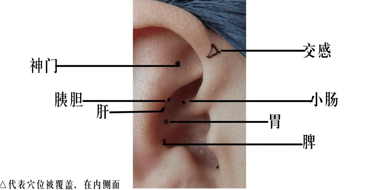 k8凯发天生赢家一触即发健康常识健康小常识10条【医学小常识】小耳朵大健康慢性胃