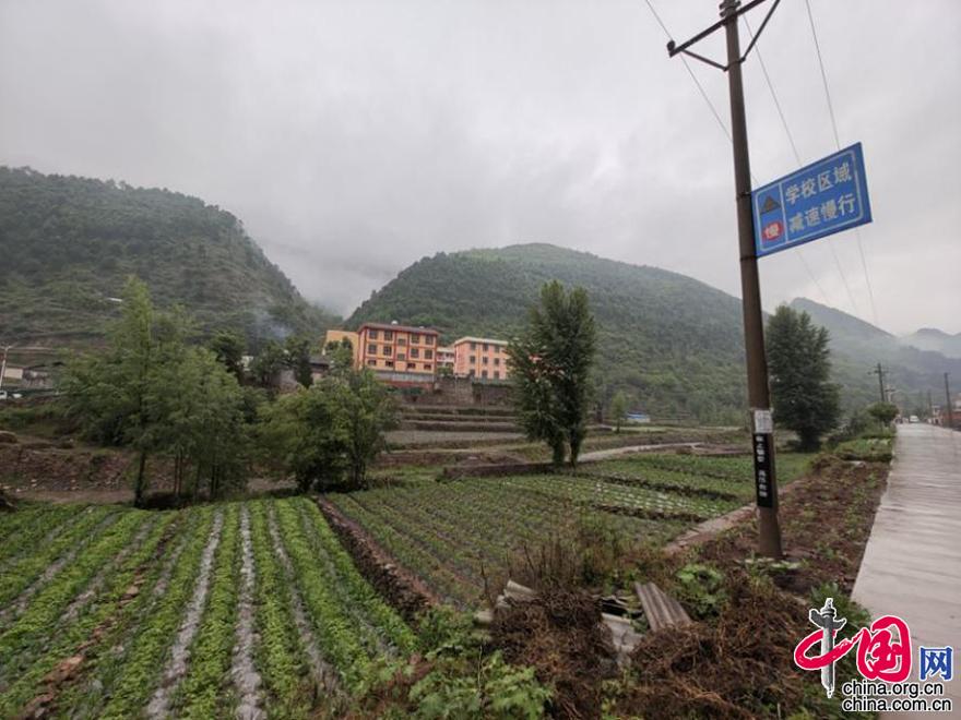 k8凯发，泰莱集团宣布新学年“中国儿童健康改善计划”全面帮助学生营养与健康[组图