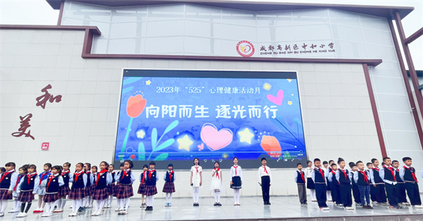 凯时k8官网，成都高新区：构建“1456”管理体系 守护未成年人身心健康